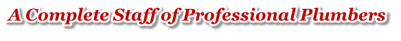 A Complete Staff of Professional Plumbers
